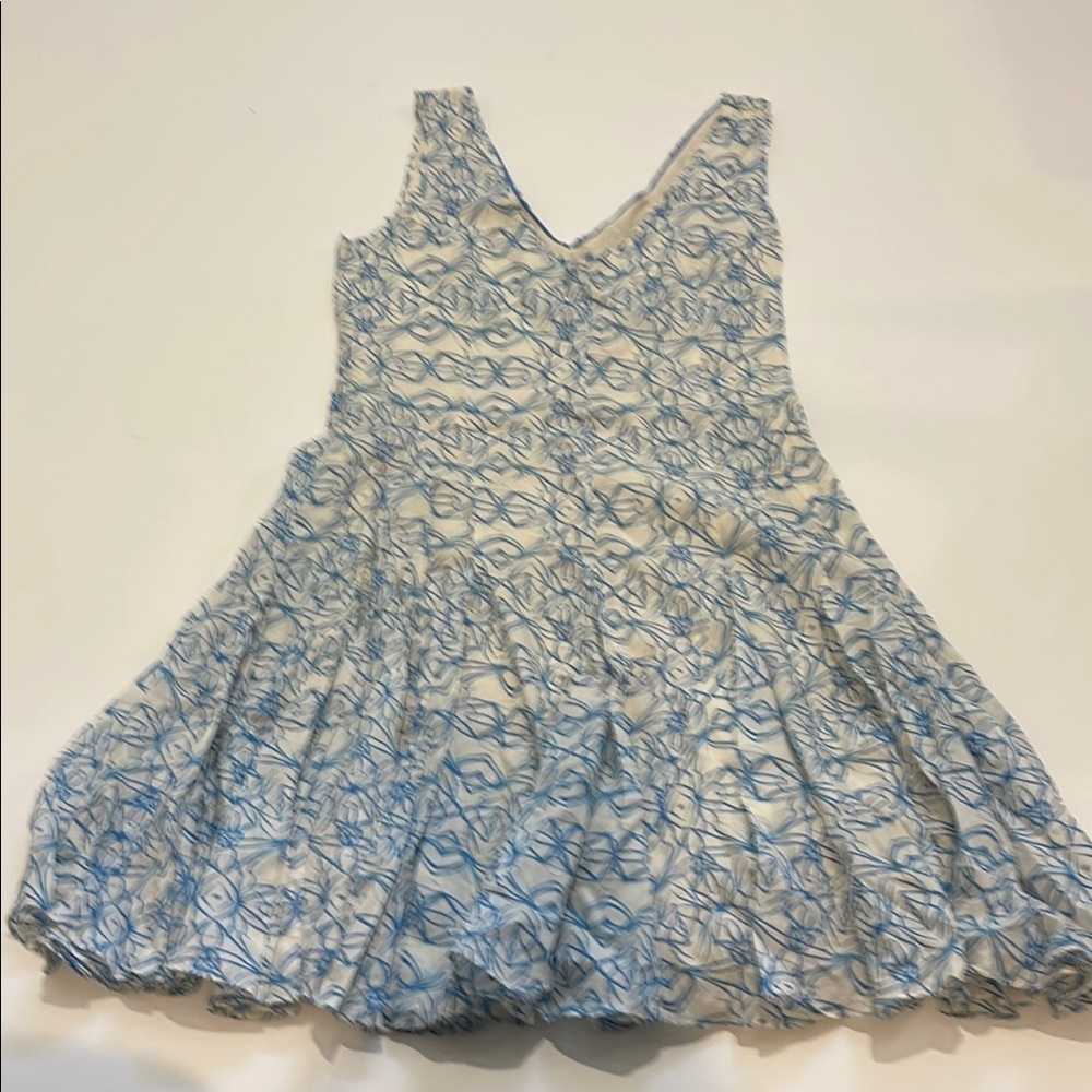 HD in Paris Anthropologie Blue and White Dress